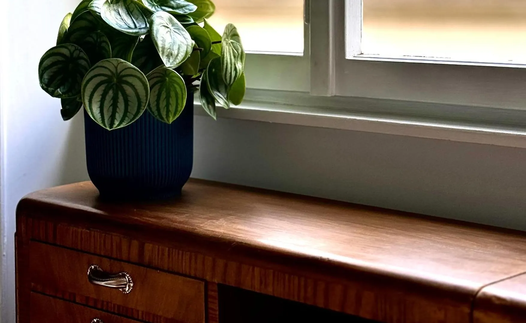 Flaminio Blues, Cozy Flat Near Piazza Del Popolo Apartment Rome 0*,
